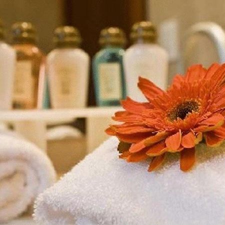 Hotel Stubel Suites & Cafe キト 部屋 写真
